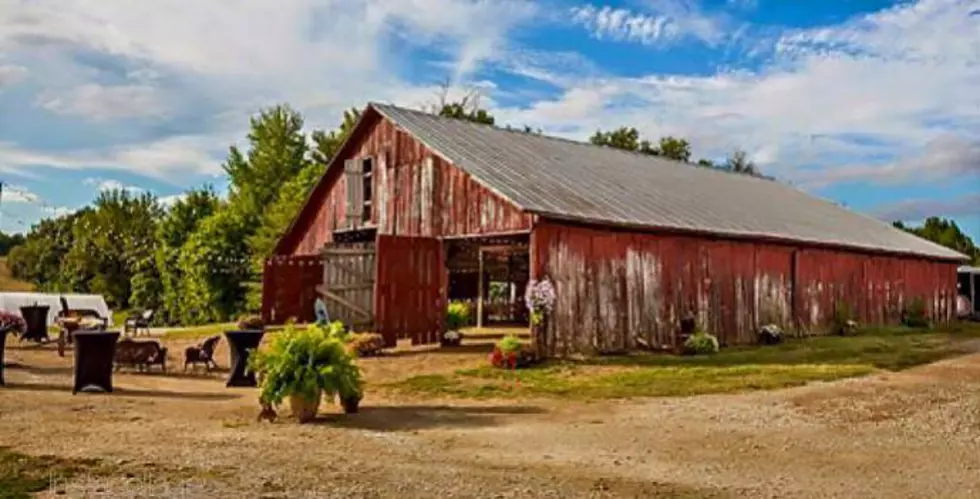 Open House Sunday at The Old Barn at Cecil Farms [Photos]