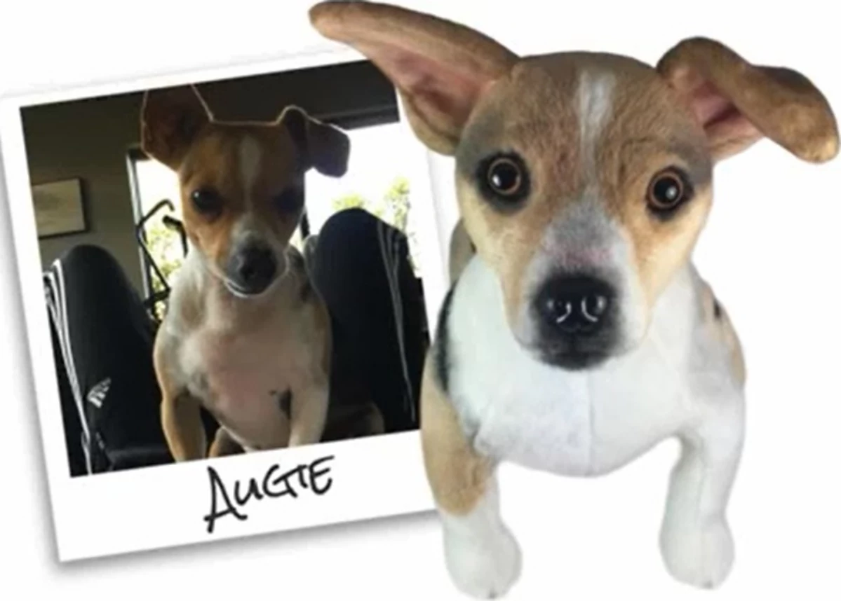 Louisville company 'clones' people's pets as stuffed animals