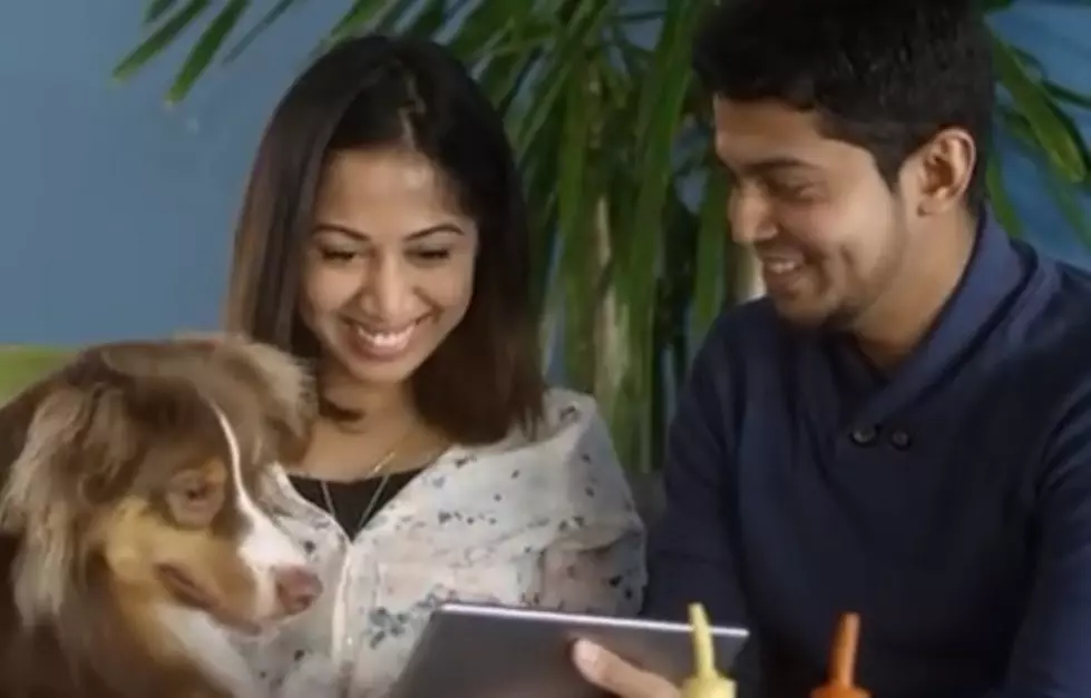Google Play for Pets Keep your Pets Stimulated? [VIDEO]
