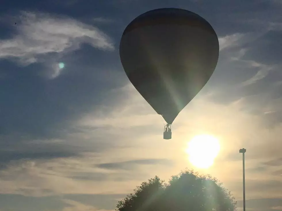 Balloons Over the Garden