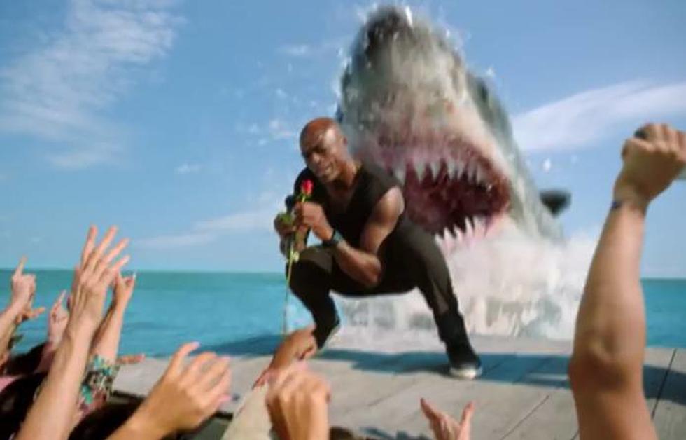 Next Week Is Shark Week on the Discovery Channel (VIDEO)