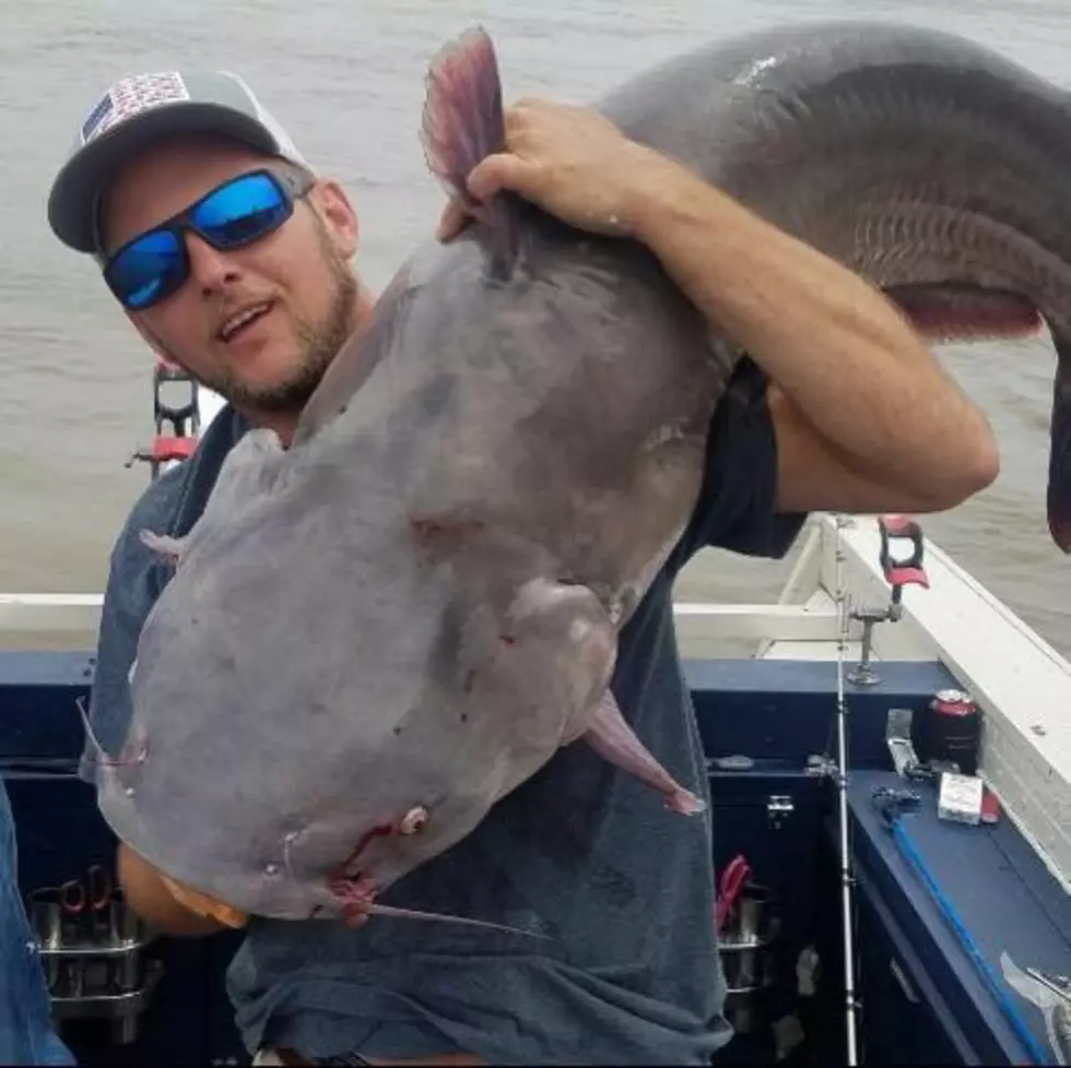 Owensboro Man Catches 81-Pound Catfish with River City Catfishing [Photo]