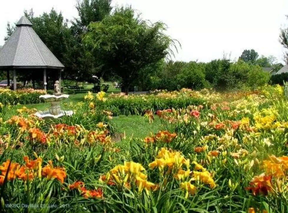 Family Fun Day At The Botanical Gardens