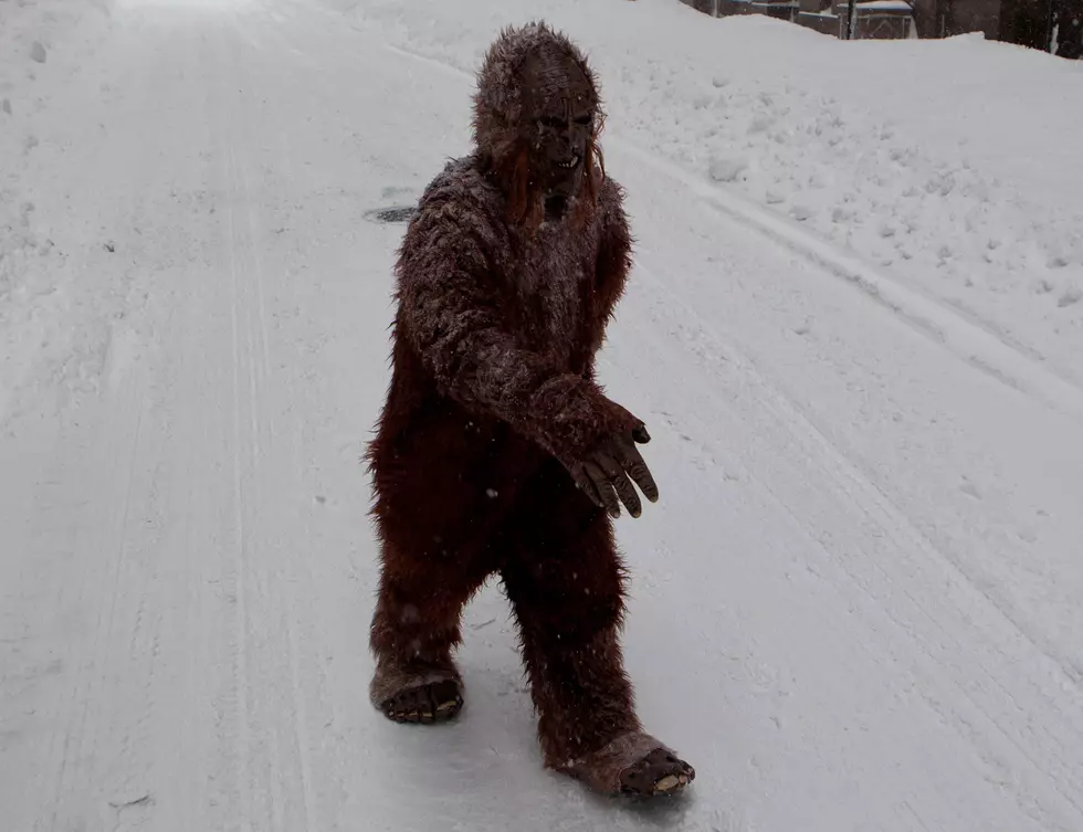 Do You Believe In Bigfoot?