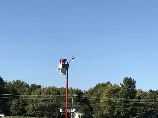 White Squirrel Weather Station Set Up At WKU Owensboro [PHOTOS]