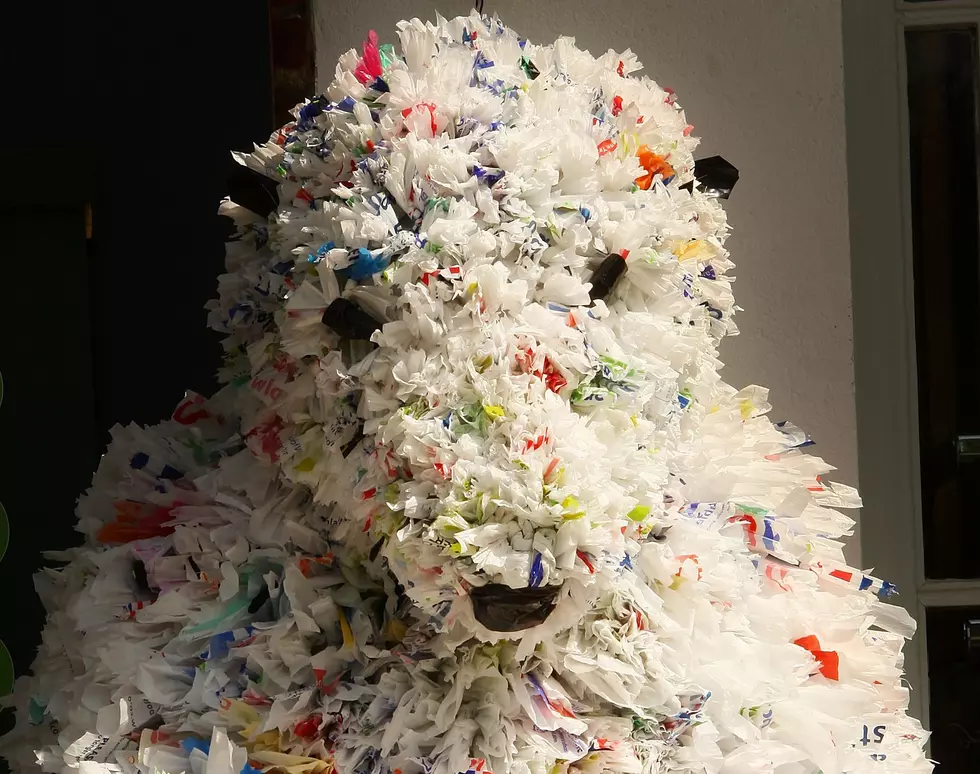 Mesker Park Zoo Hosting Recycled Art Contest