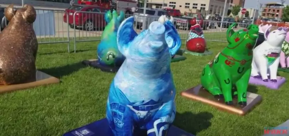 The Oink for Owensboro Exhibit by Kentucky Legend [Video]