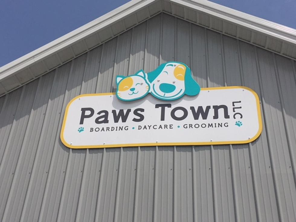 Paws Town Grand Opening in Owensboro! [PHOTO TOUR]