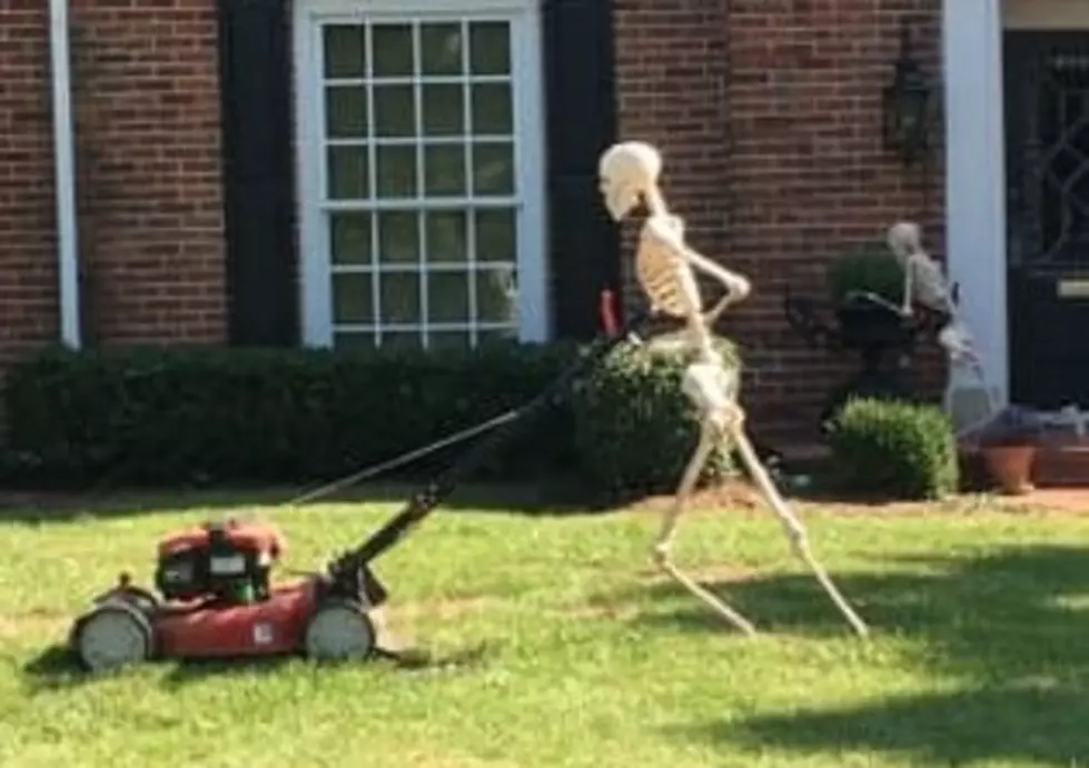 Owensboro Family Brings Their Skeletons Out of the Closet For Halloween (PICTURES)
