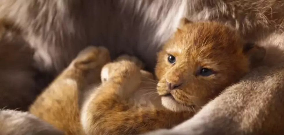 The Lion King Teaser Trailer [Video]