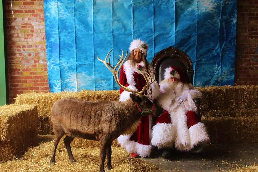The Reindeer Experience Coming to Owensboro Museum of Science and History
