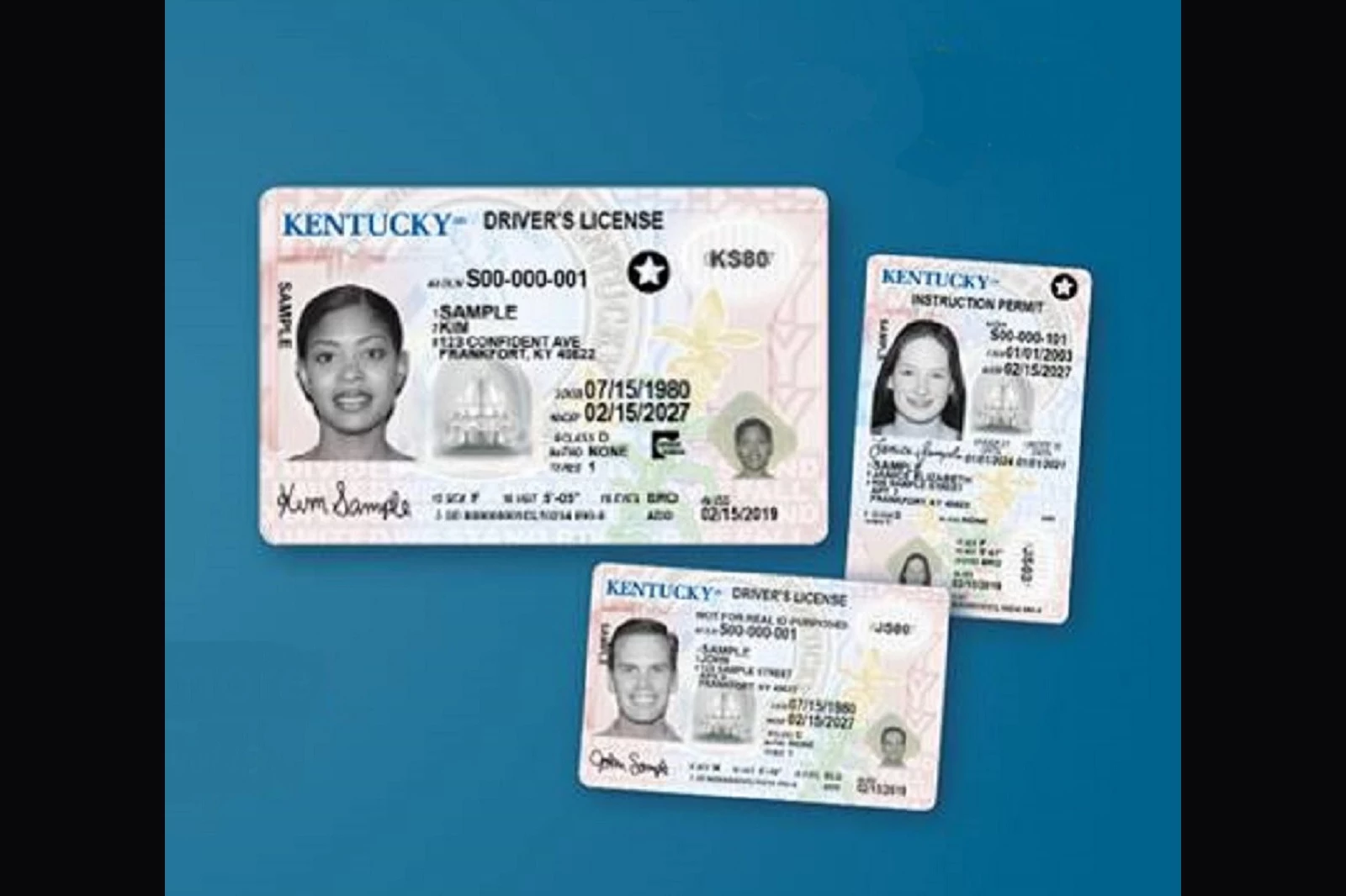 kentucky driving licence psd template