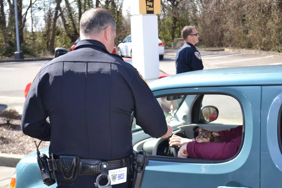 Owensboro Police Officers Reward Money to Folks Wearing Seatbelts