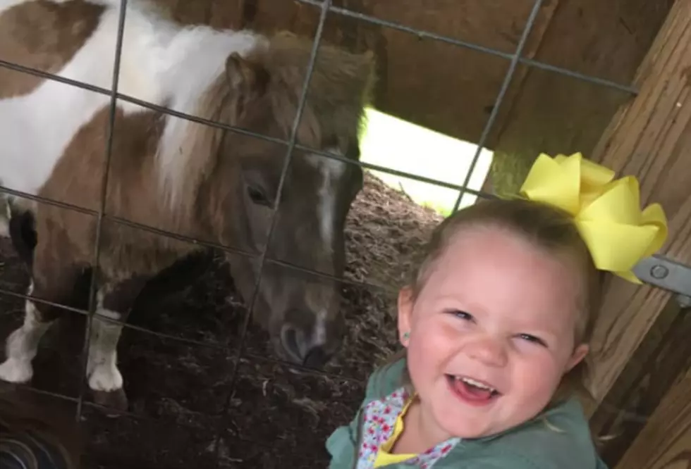 Farm Animal Day at Trunnell’s Farm Market!