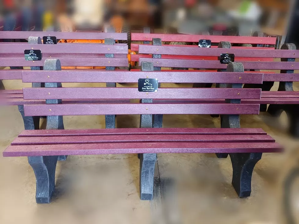 Erica Owen Memorial Purple Benches Delivery This Week