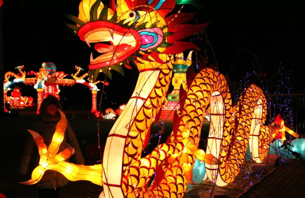 Zoolumination:  Largest Lantern Festival In The Country Coming To Nashville Zoo