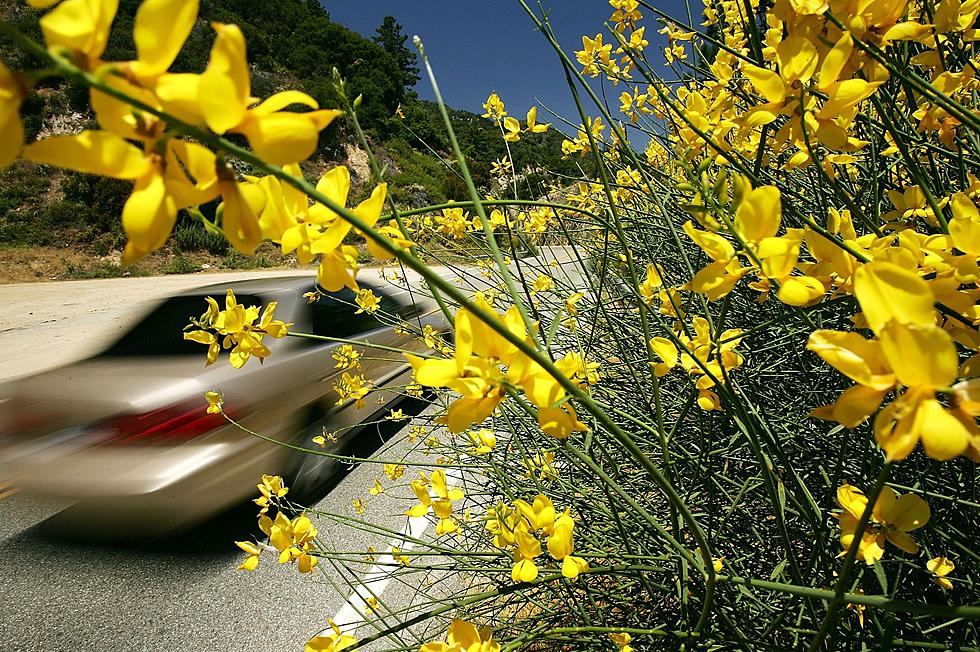 What Are the Top Ten Scenic Drives in Kentucky?