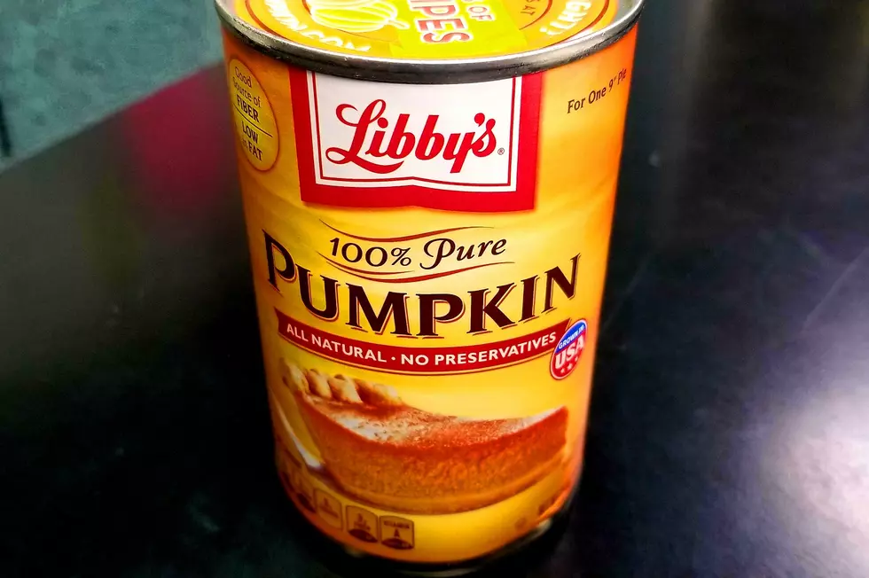 There's No Pumpkin in Pumpkin Spice? Don't Tell Dogs That