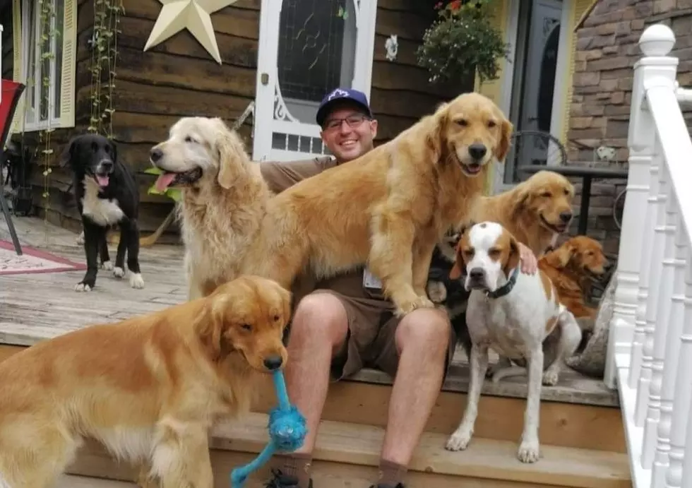 UPS Dogs/Facebook