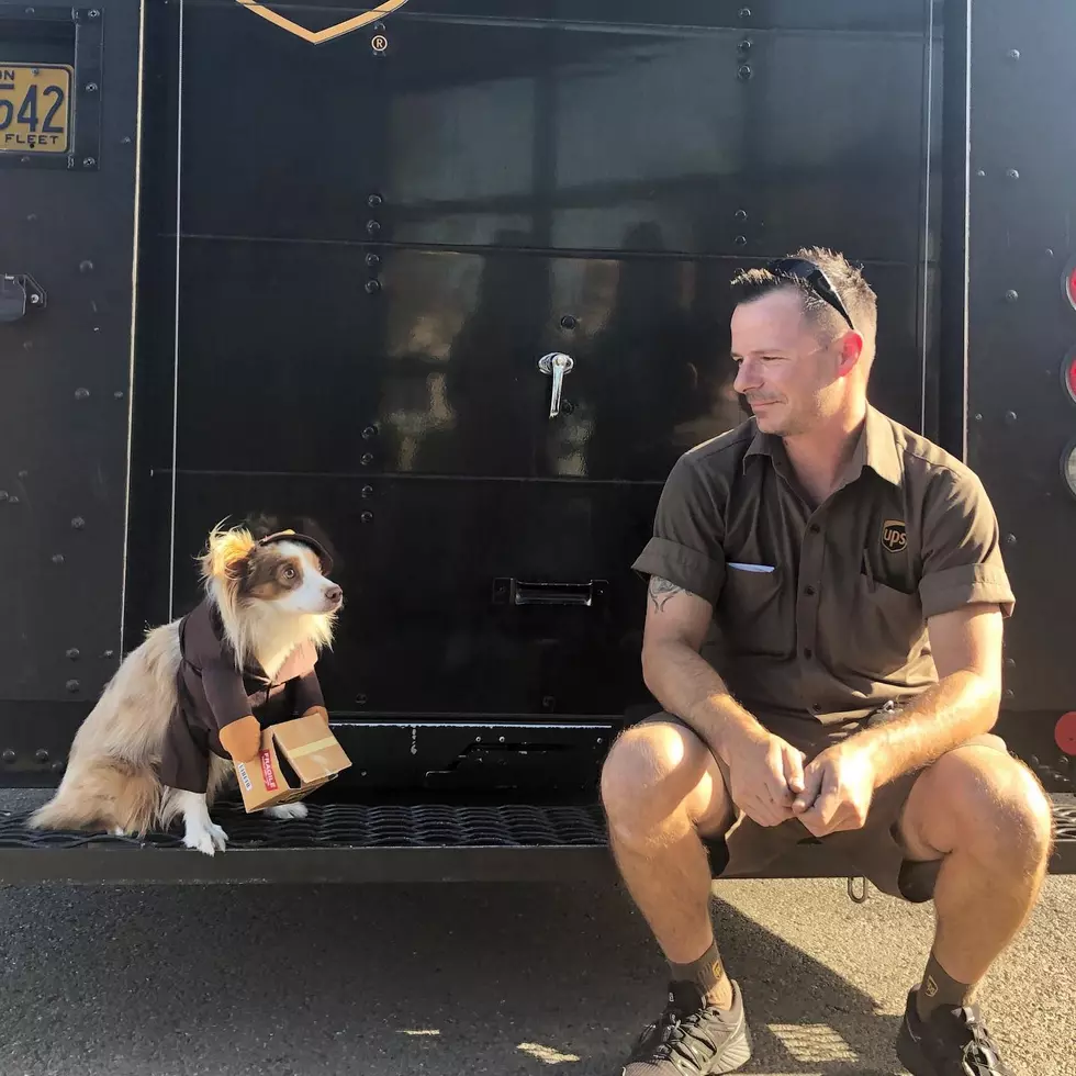 UPS Dogs/ Facebook