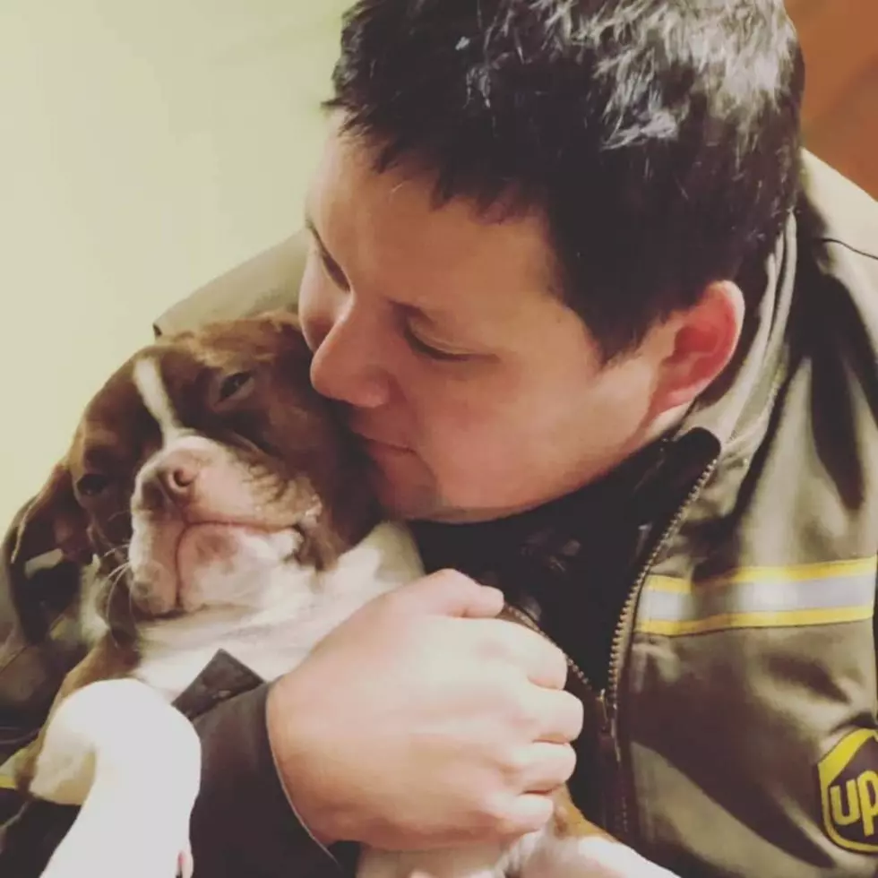 UPS Dogs/Facebook