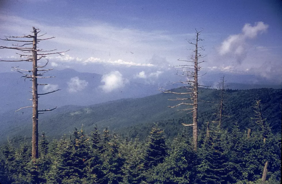 Great Smoky Mountains National Park Set to Close