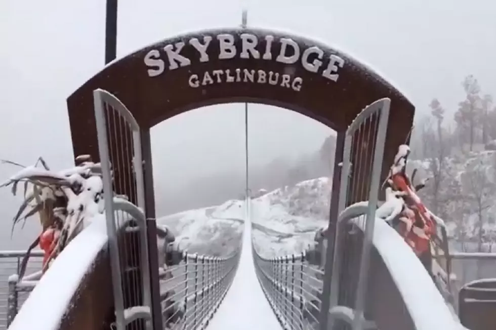 Snow-Covered Gatlinburg Skybridge Is a Live-Action Christmas Card