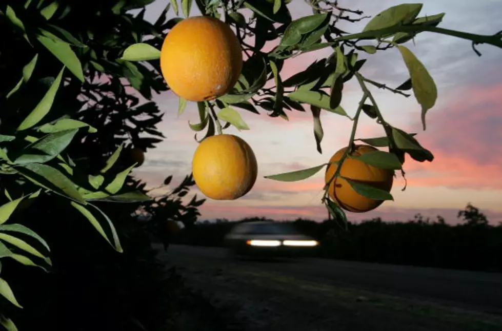 Truckload of Florida Juicy Citrus is Coming to Town
