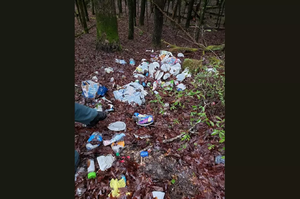 UNACCEPTABLE: Kentucky’s Most Beautiful Forest Is a Pigsty