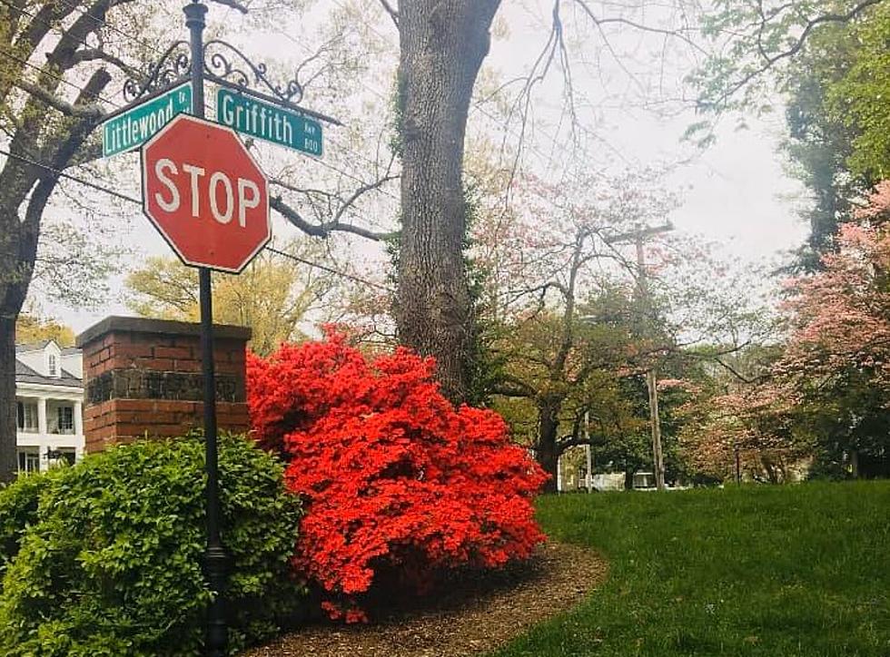 Where are the Most Scenic Roads in the Tri-State for Spring? [PHOTOS]