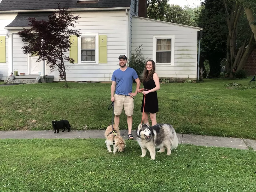 When Owensboro Family Walks Their Dog, Their Cat Follows [Photos]