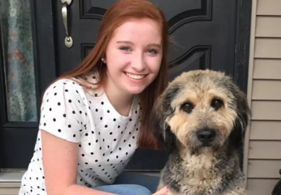 Owensboro Dog Saves The Day & Helps Family Bake Cookies 