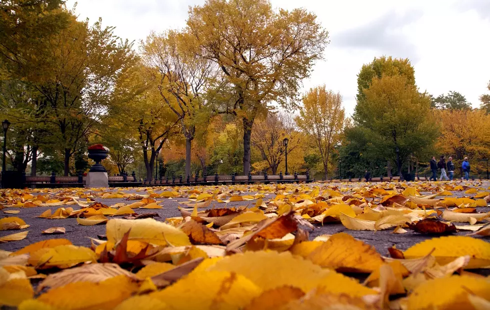 A Taste of Fall Weather Comes Our Way Next Week