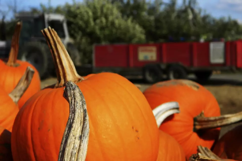 Let's Get Geared Up for Gatlinburg Fall Festivals [LIST, PHOTOS]