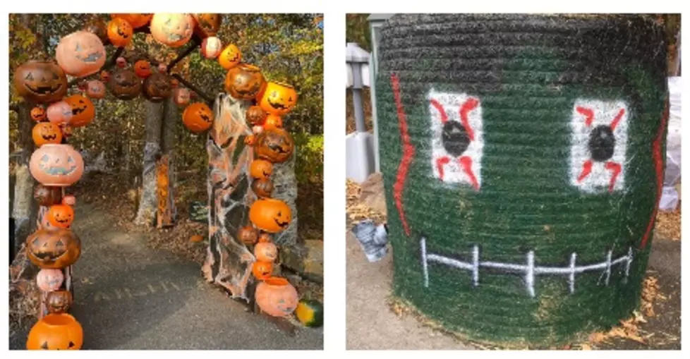 SEE INSIDE: FREE Interactive Outdoor Pumpkin Trail in Muhlenberg (GALLERY)