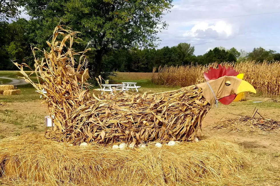 Free Fall Photo Ops in West Daviess County [PHOTOS]