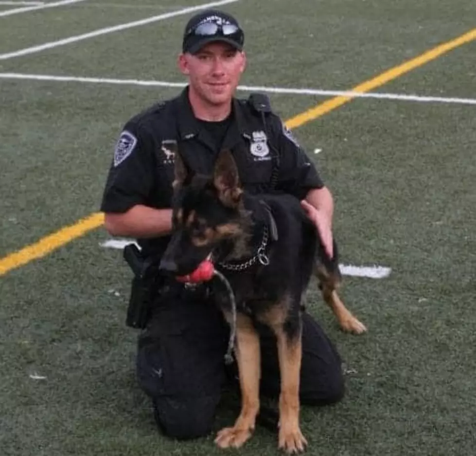 Southern Indiana Police Canine Association Inc.