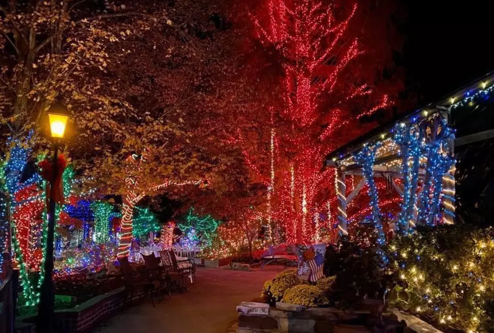 SEE INSIDE:  Patti's Festival of Lights Celebration