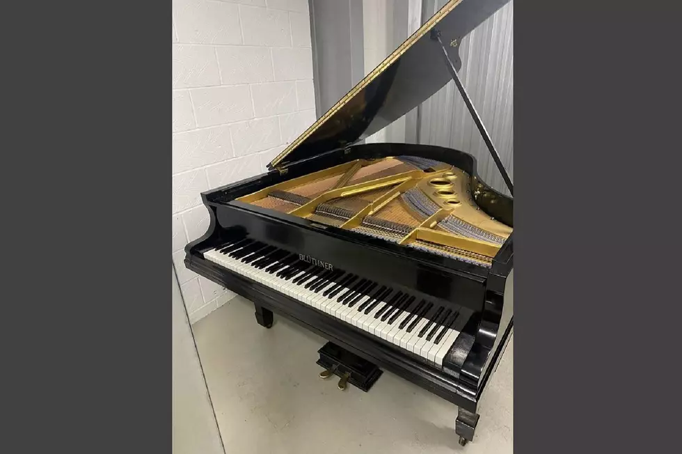 Free Guinea Pig Cage and Baby Grand Pianos on Owensboro Craigslist…You Know, In Case You Need Both