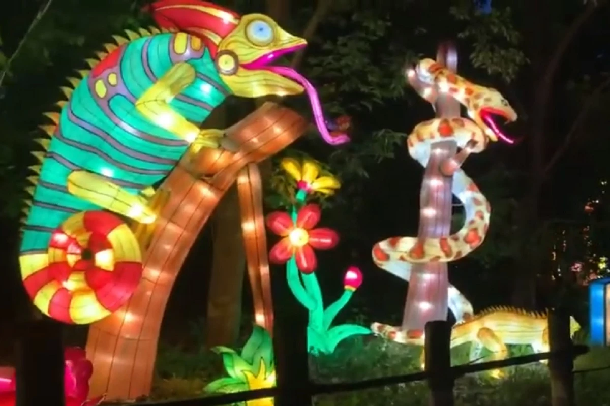 Louisville Zoo's 'Wild Lights' Lantern Festival