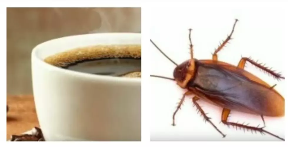 Coffee & Cockroaches:  Do You Know What's In Your Cup of Coffee?