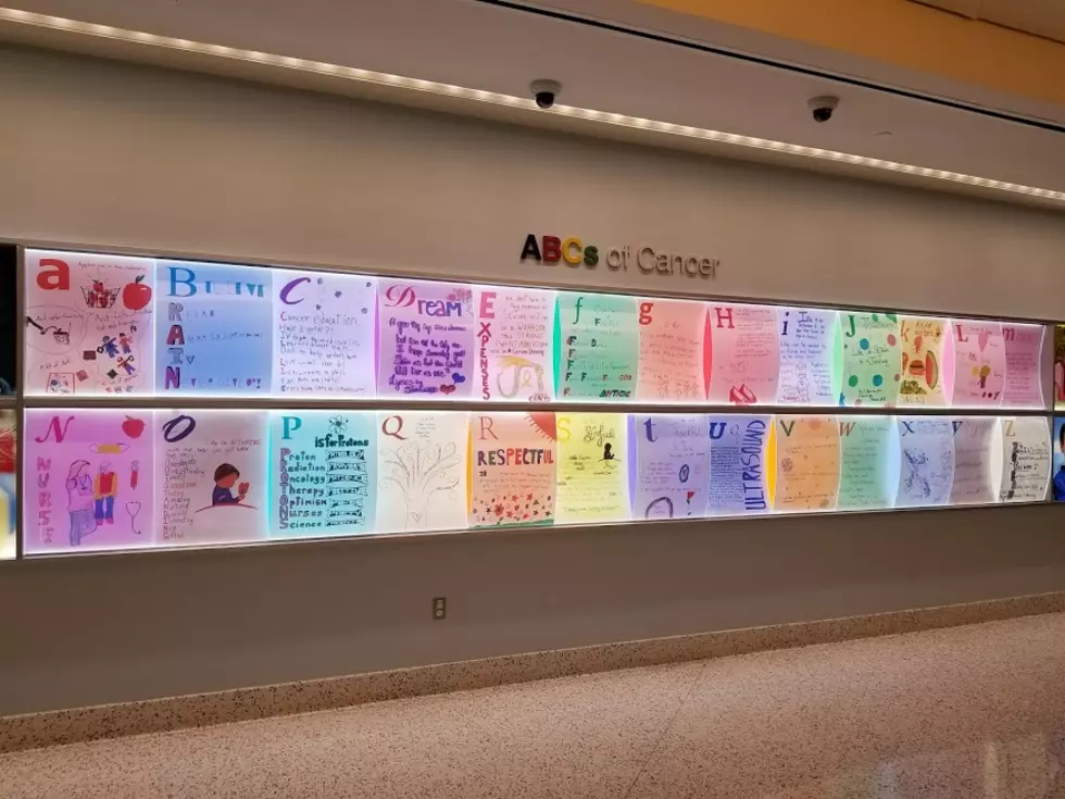 St. Jude ABC’s of Cancer Wall Designed By Patients (GALLERY)