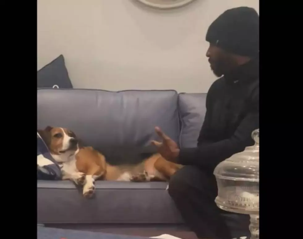 Darby the Dog&#8217;s Hilarious Therapy Session with Dr. Tim [Video]