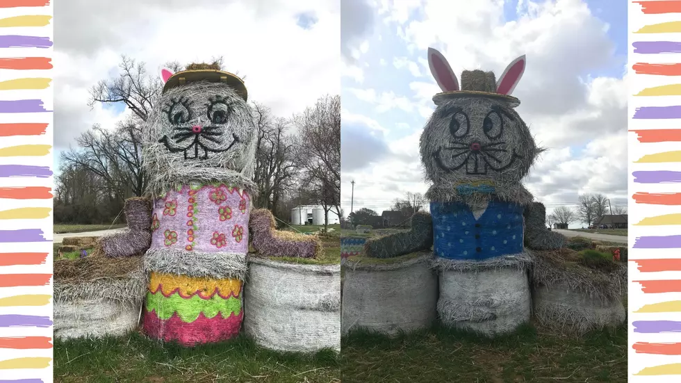 Easter Bunny Fun &#038; Petting Zoo At The Cottage Farm This Weekend