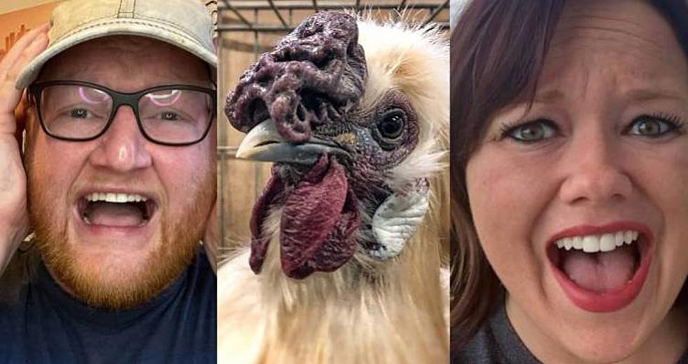 Meet Heather & Garrett: They Both Have a Horrible Fear of Chickens [Photos]