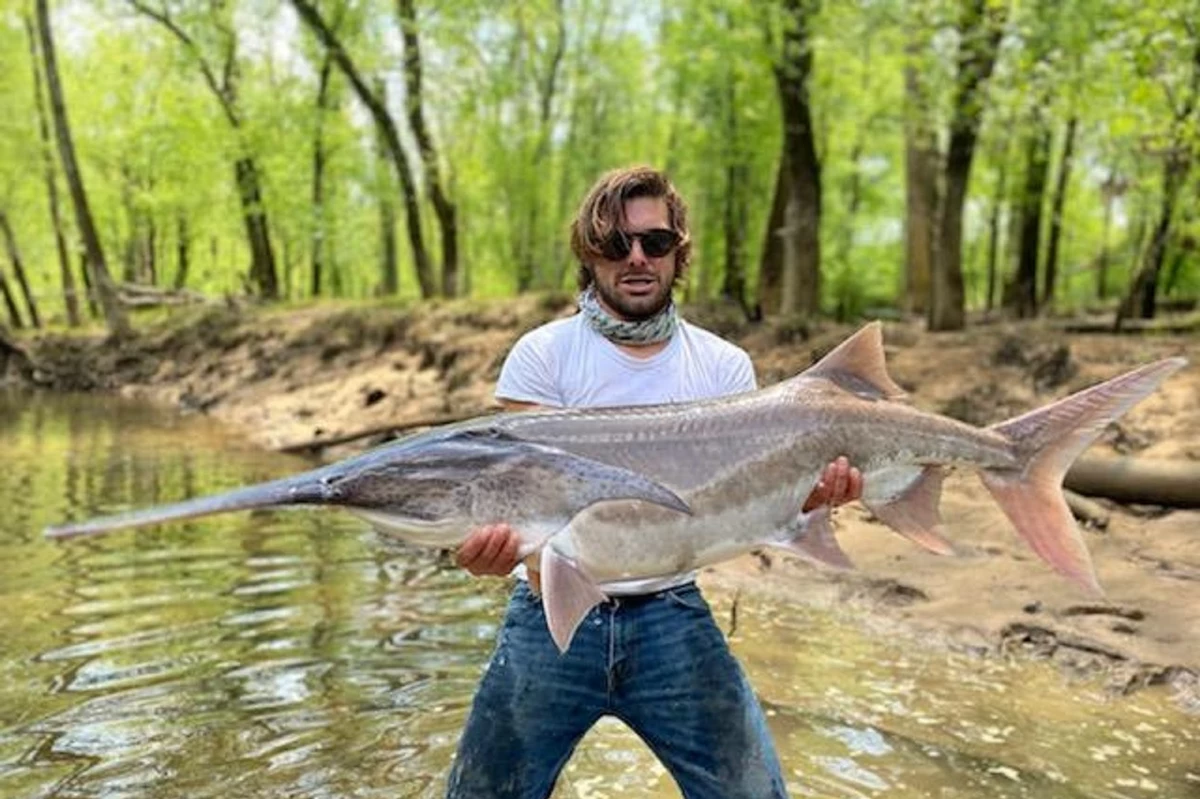 Tennessee Man Catches FiveFootLong Prehistoric Paddlefish