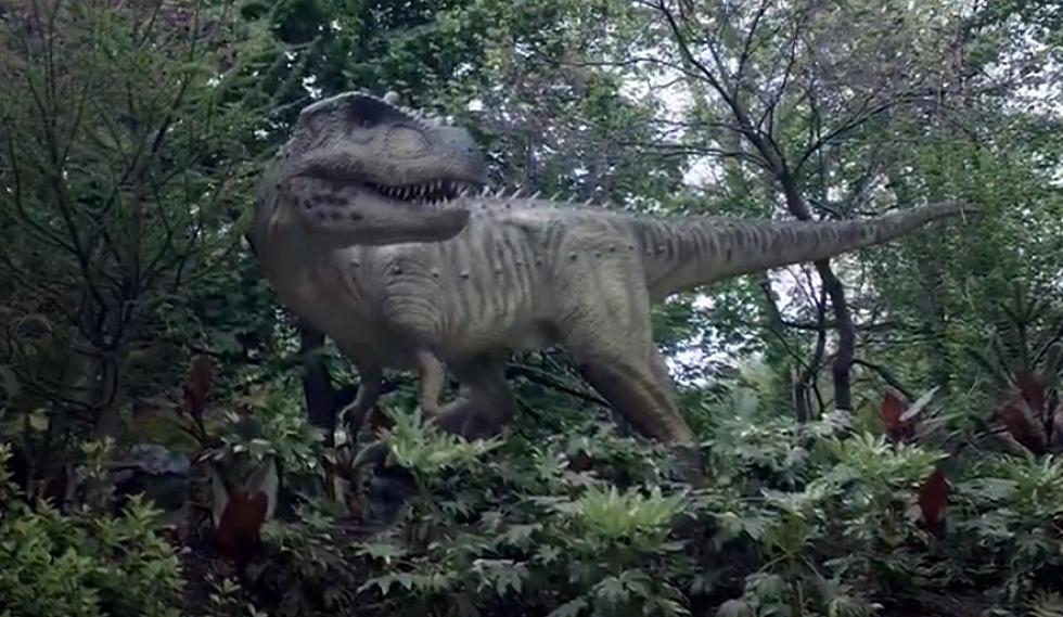 Dinosaurs Are Coming to Louisville Zoo Starting This Weekend