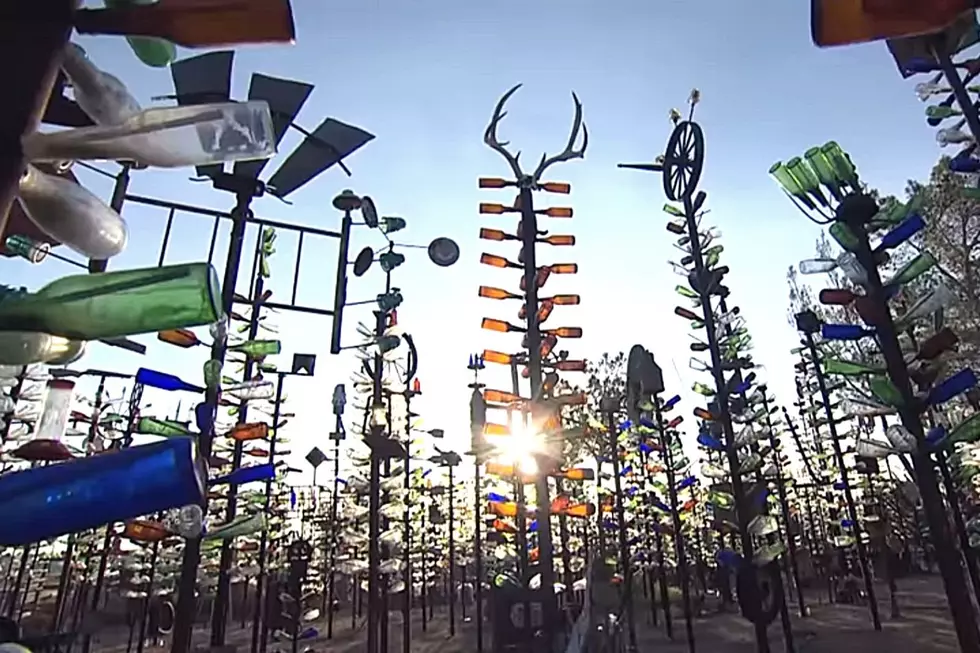 Bottle Trees in Kentucky