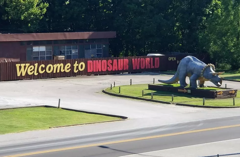 Dinosaur World Confirms Viral Live Event Is Fake and Warns the Public