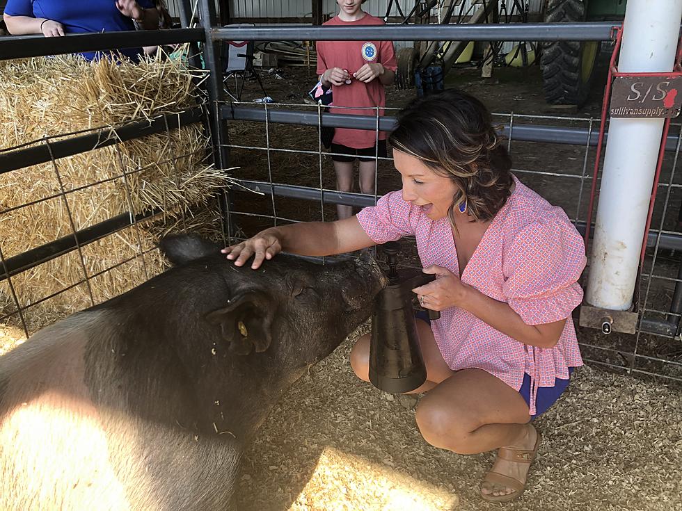 Luttrell Farms Celebrates Its 25th Anniversary of Ohio County Ag Days (Video)